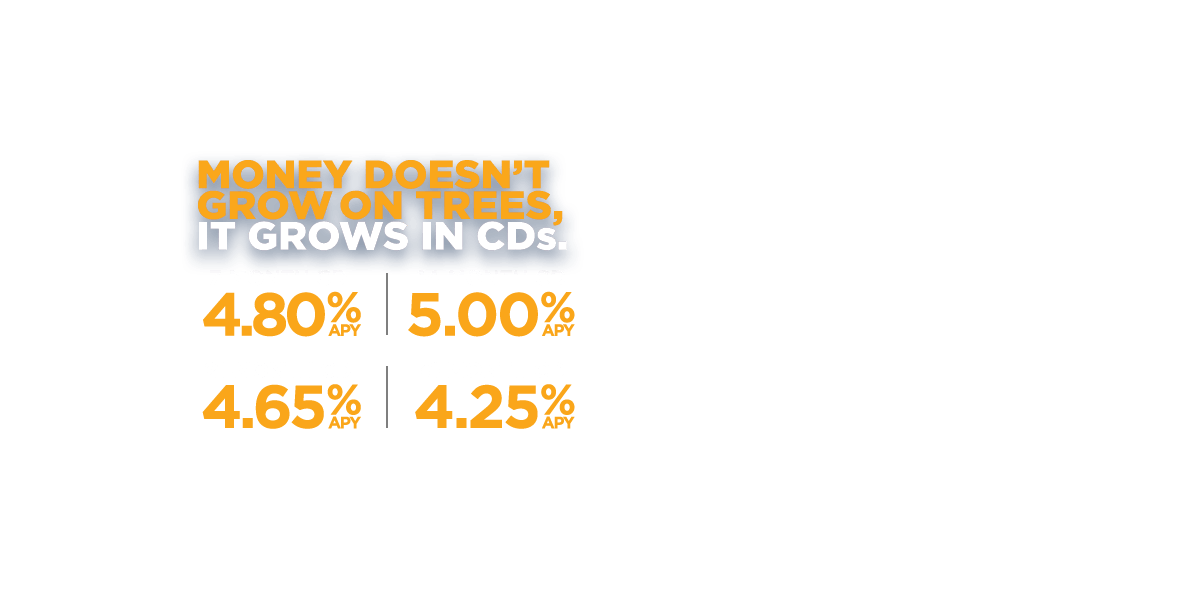 Money doesn't grow on trees. It grows in CDs. 7 months-4.80% APY. 14 months-5.00% APY. 21 Months-4.65% APY. 31 Months-4.25% APY.