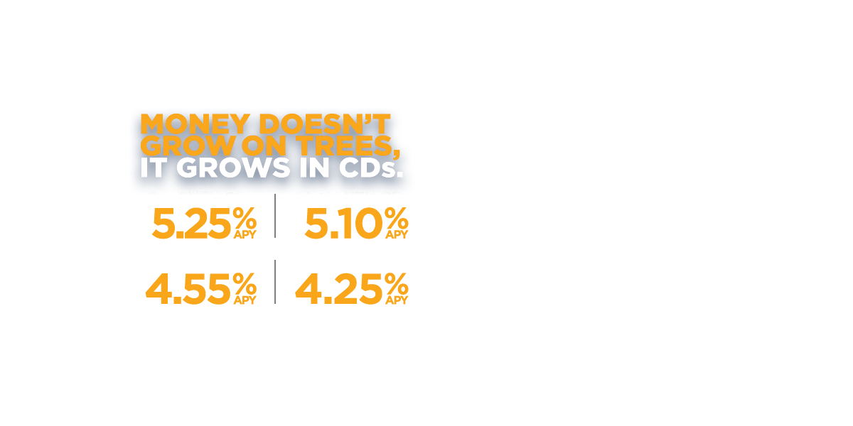 Money doesn't grow on trees. It grows in CDs. 7 months-5.25% APY. 14 months-5.10% APY. 21 Months-4.55% APY. 31 Months-4.25% APY.