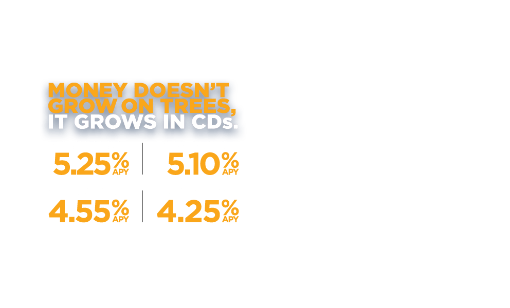 Money doesn't grow on trees. It grows in CDs. 7 months-5.25% APY. 14 months-5.10% APY. 21 Months-4.55% APY. 31 Months-4.25% APY.