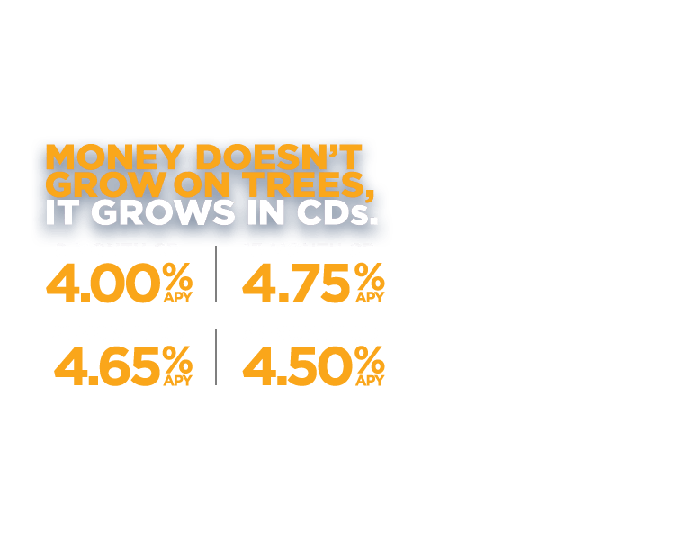 Certificate of Deposits. Great Rates. Safe Investment. 8 months-4.00% APY. 13 months-4.75% APY. 21 Months-4.65% APY. 33 Months-4.50% APY.