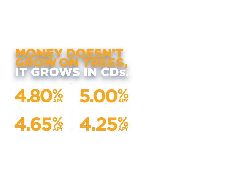 Money doesn't grow on trees. It grows in CDs. 7 months-4.80% APY. 14 months-5.00% APY. 21 Months-4.65% APY. 31 Months-4.25% APY.