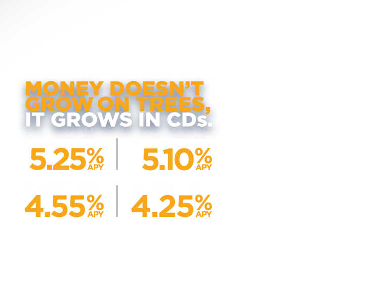 Money doesn't grow on trees. It grows in CDs. 7 months-5.25% APY. 14 months-5.10% APY. 21 Months-4.55% APY. 31 Months-4.25% APY.