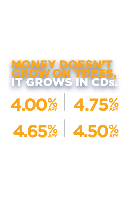 Money doesn't grow on trees. It grows in CDs. 8 months-4.00% APY. 13 months-4.75% APY. 21 Months-4.65% APY. 33 Months-4.50% APY.