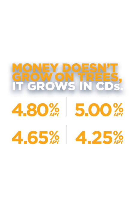 Money doesn't grow on trees. It grows in CDs. 7 months-4.80% APY. 14 months-5.00% APY. 21 Months-4.65% APY. 31 Months-4.25% APY.