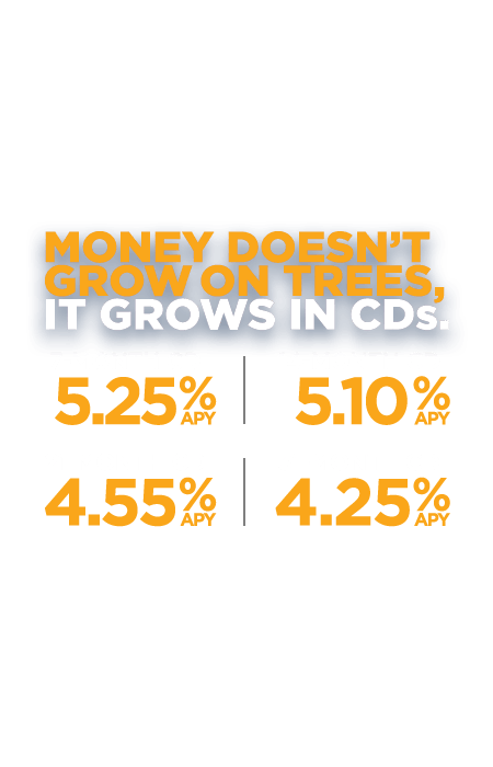 Money doesn't grow on trees. It grows in CDs. 7 months-5.25% APY. 14 months-5.10% APY. 21 Months-4.55% APY. 31 Months-4.25% APY.