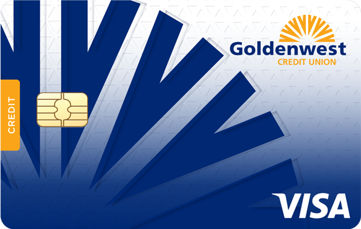   Visa Basic Credit Card