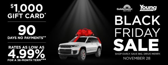 Black Friday Holiday Sale