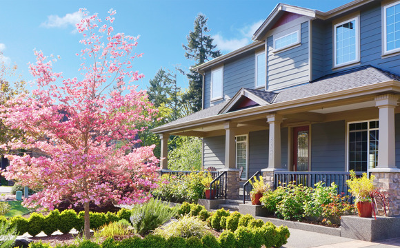 Conventional Mortgage